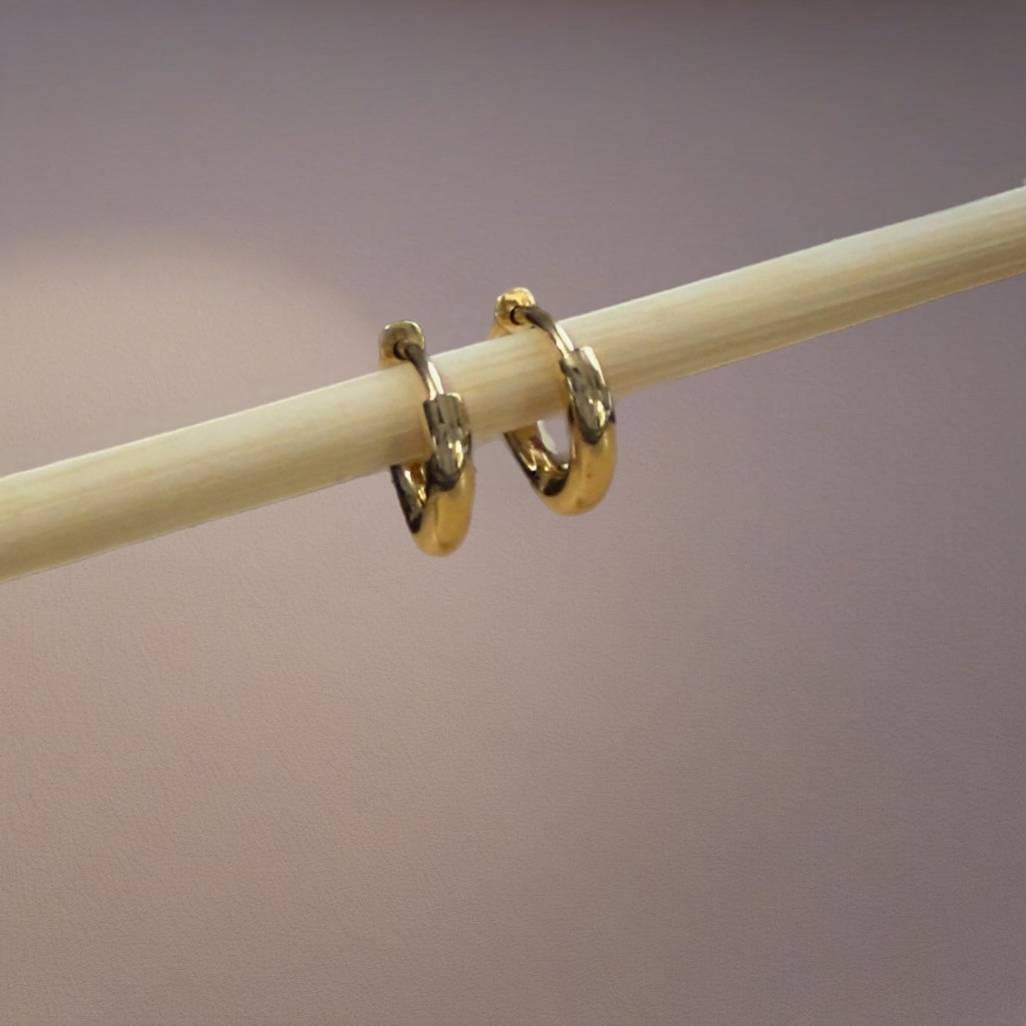 Classic Gold Hoop Earring