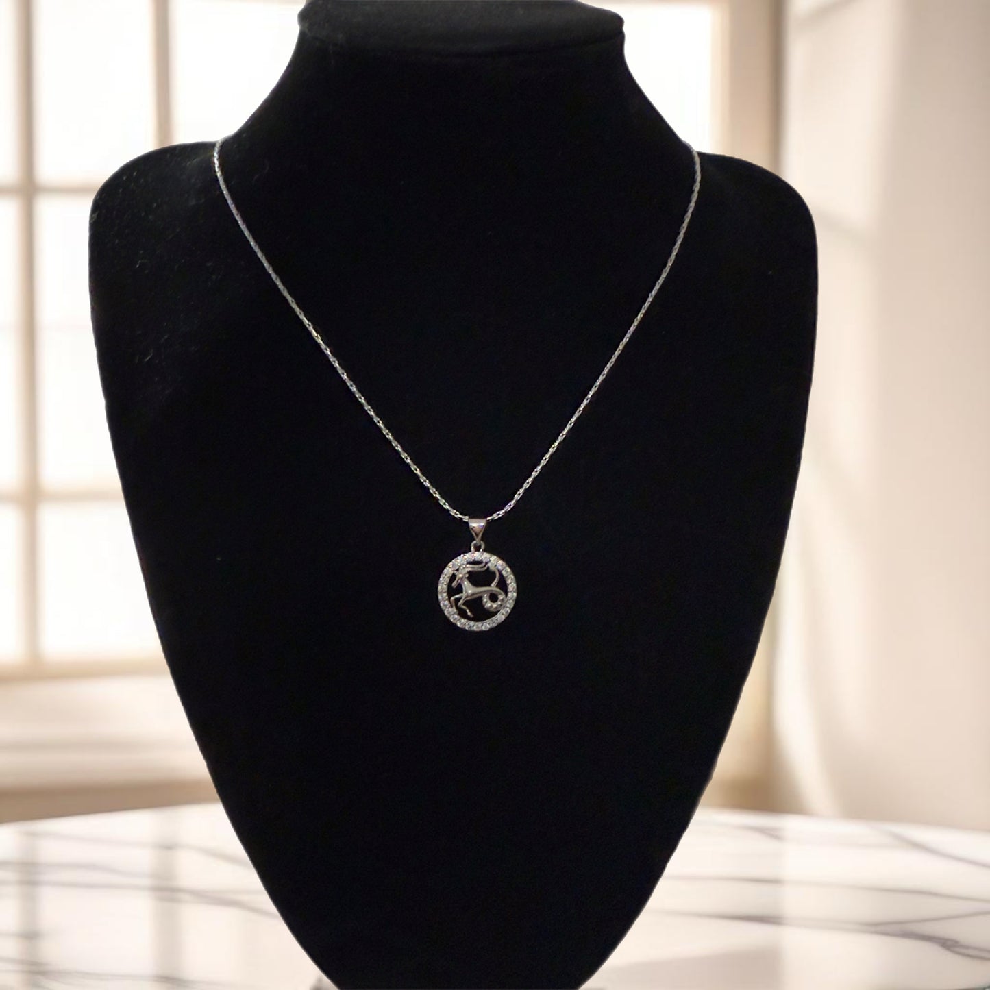 Silver Zodiac necklace