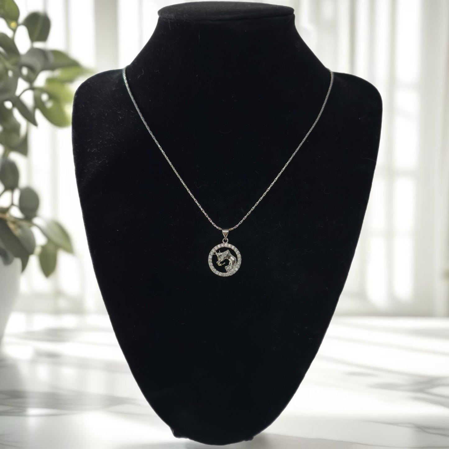 Silver Zodiac necklace