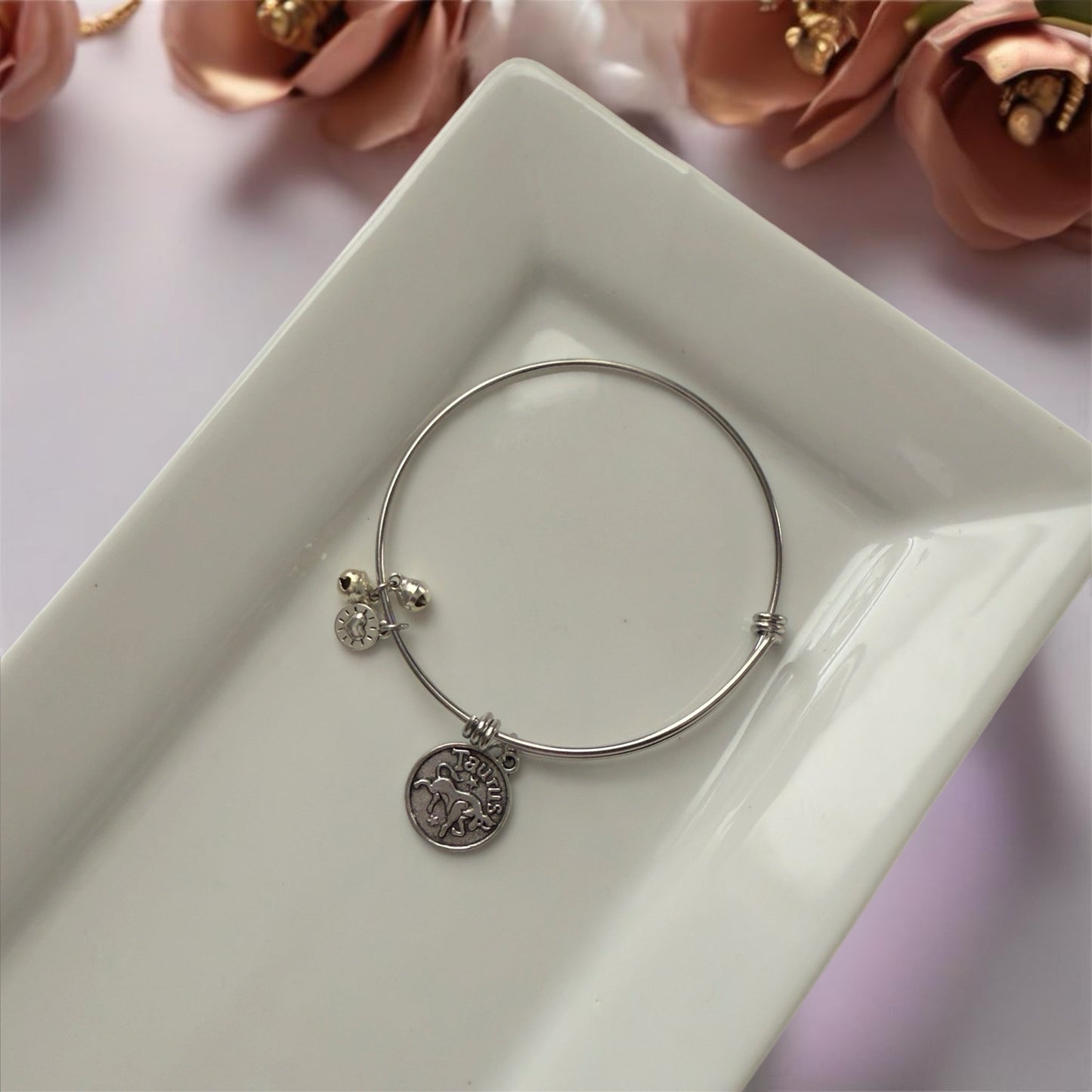 Zodiac Silver Bangle (Limited)